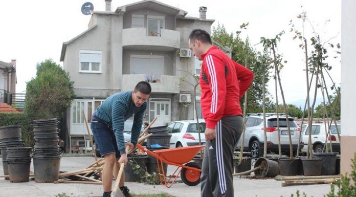 Na poziv građana sadili stabla na Zabjelu