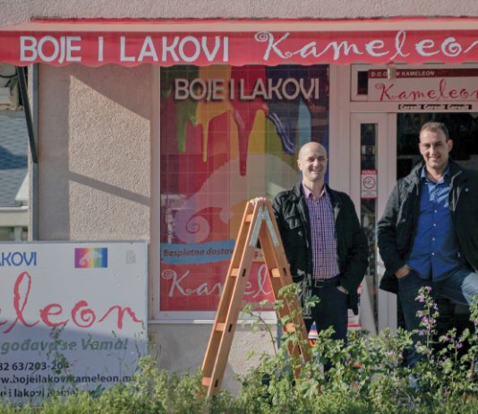 boje i lakovi kameleon prilagodjava se nama