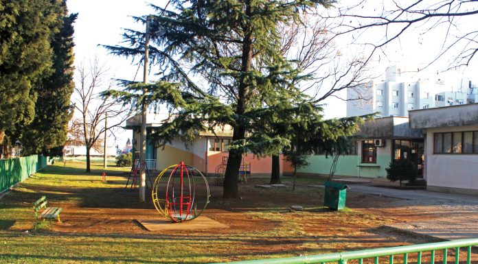 Đina Vrbica