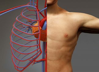 Koliko brzo postajemo „nova osoba“? regeneracija tijela