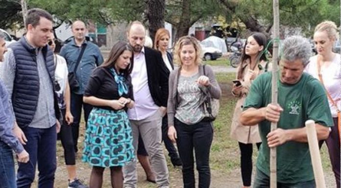 Borba oko ozelenjavanja Zabjela