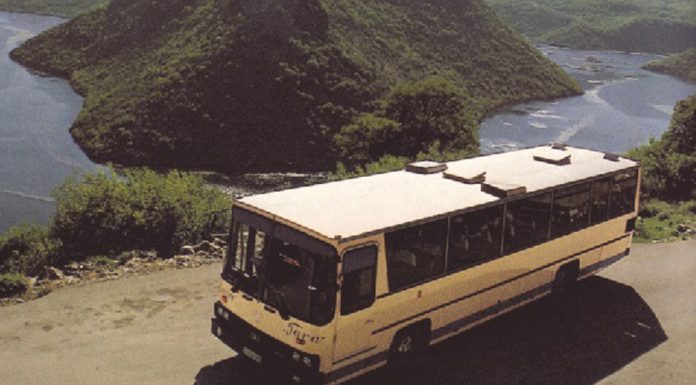 Bez „Tare” nema ni garaža Bez „Tare” nema ni garaža