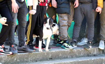 Osnivanje OKC Zabjelo podržalo više od 200 građana, učešće ponudilo 139! Osnivanje OKC Zabjelo podržalo više od 200 građana, učešće ponudilo 139!