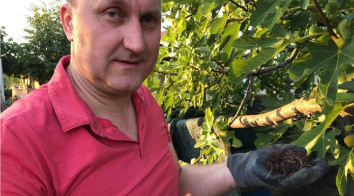 Kalifornijski crvi sa Zabjela recikliraju otpad i proizvode organsko đubrivo Kalifornijski crvi sa Zabjela recikliraju otpad i proizvode organsko đubrivo