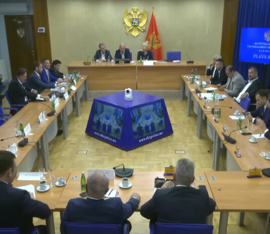 Pola Zabjela će da pobježe (VIDEO)